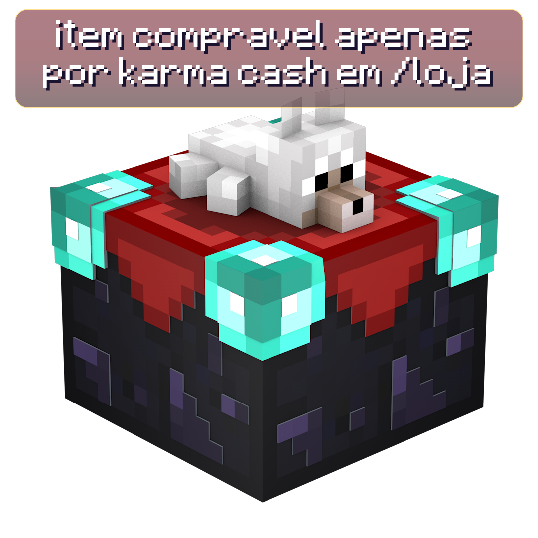 Cachorro
