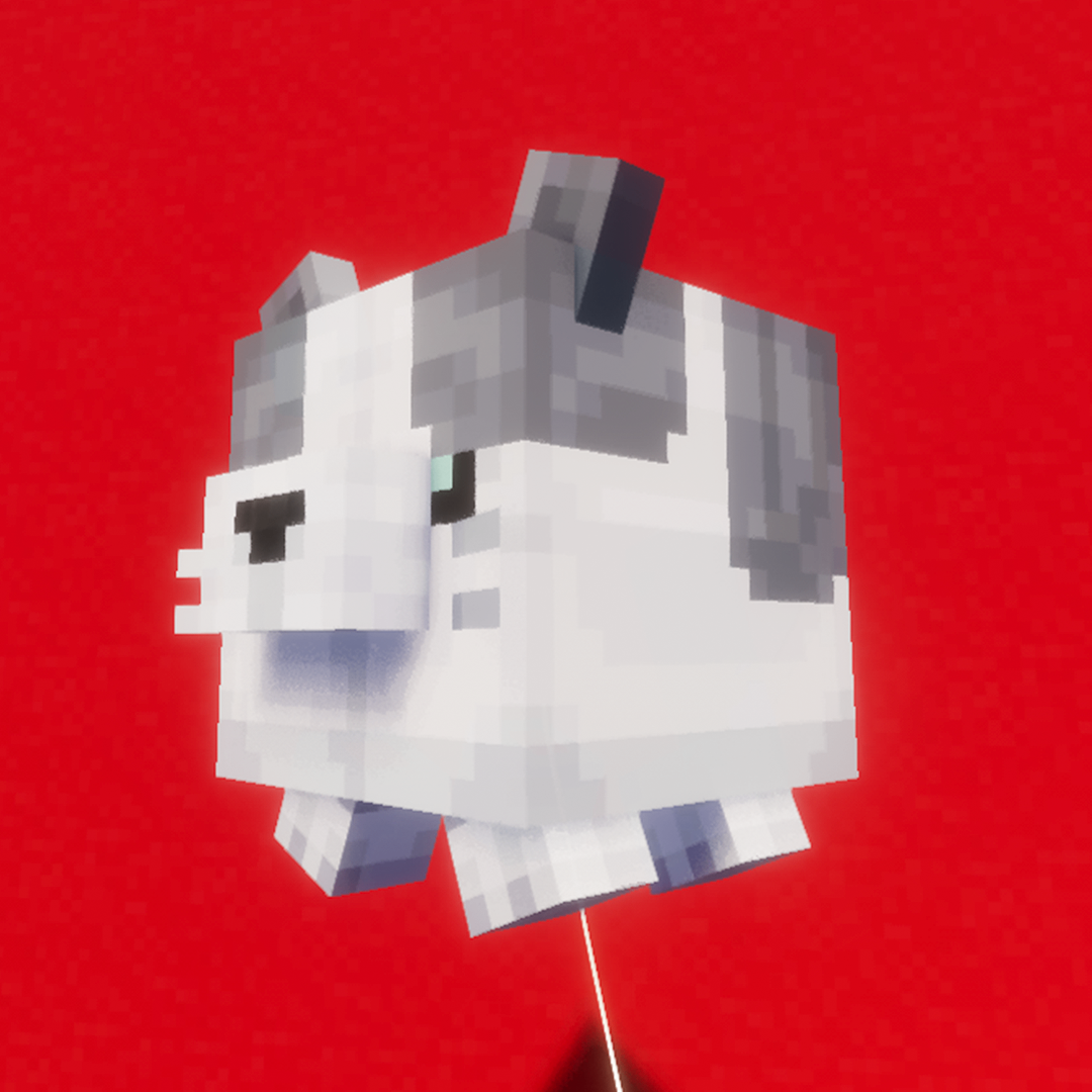 Gato Jellie