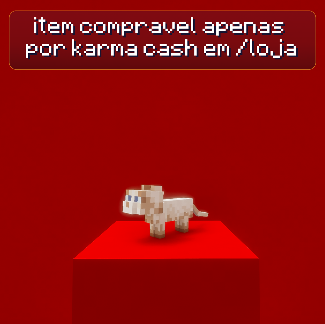 Gato Regdoll