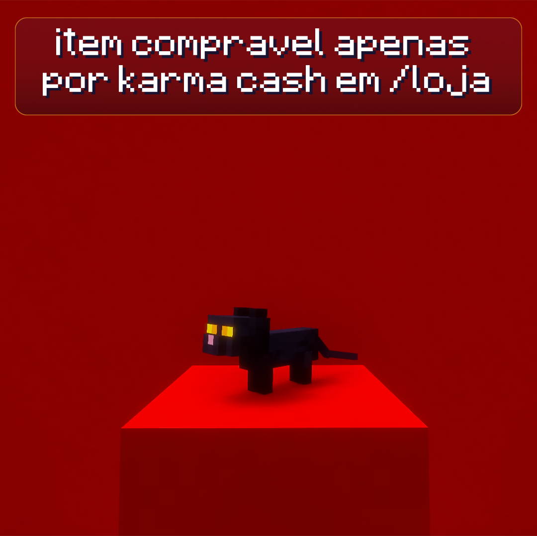 Gato All Black